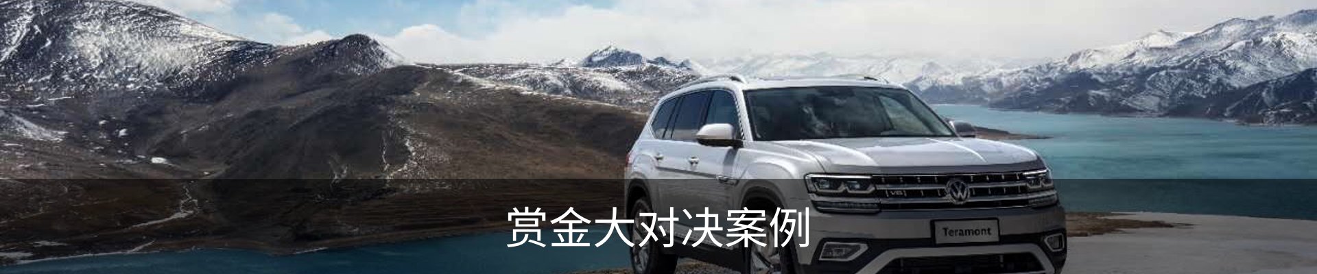 赏金大对决案例